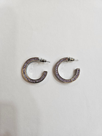 Elegant Crescent Hoop Earrings