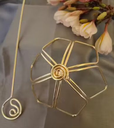 Hair Bun Cage with Hair Fork